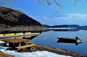 静岡県富士宮市観光スポットランキング お花 紅葉 1位 10位 たびかん 観光スポット検索