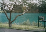 綺麗な色の池