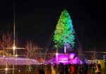 12/7 遠く・・・富山県の山奥からやって来た❛あすなろの木・・・世界一の高さを誇る“クリスマスツリー”として多くの人たちを楽しませていました・・・!!!