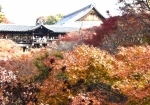 秋色東福寺