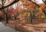 秋色東福寺