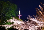 4/9 戻りの『茶屋』〜彩色豊かな〚京都タワー〛が聳え立っていました…!!!