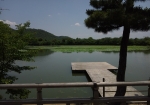 大覚寺から大沢池を望む