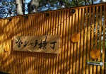 名古屋城東門の金シャチ横丁