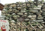 400年前の石垣