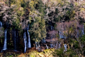2/25「白糸の滝」 側面・富士山からの伏流水・・・!!