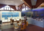 休憩スペースには「富山湾の魚たち」が展示されています