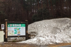 3月の終わりでもこの雪の量！