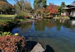 日本家屋と池