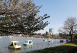 上野公園でみんな遊んでる。ガッコンガッコンガッコン