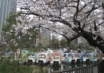 上野公園内の池