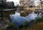 日本庭園。鯉がいる