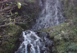 鹿目の滝  雌滝