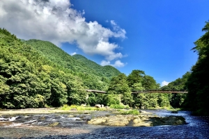 浮島橋です。川の流れも綺麗でした。