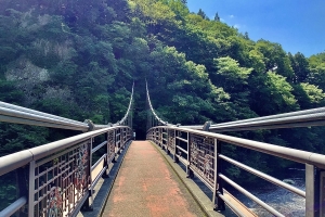 浮き島橋の上から