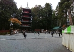 貴重な五重塔である。上野と京成線の五重塔とで三つ目クリア。