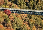 渡橋と紅葉を楽しむ観光客