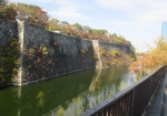 大阪城の石垣の紅葉