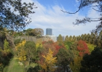 大阪城公園内の紅葉