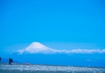 三保の松原からの富士山