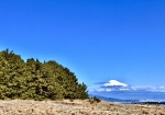三保の松原に富士山です