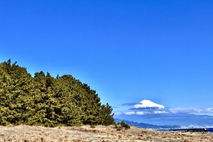 三保の松原に富士山です