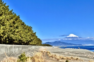 意外と富士山は見れないそうです
