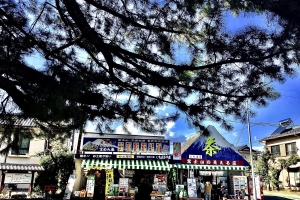 三保の松原入り口のお土産屋さんです