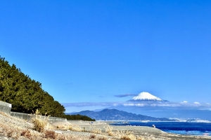 富士山見れて良かったです