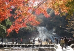 粟又の滝と紅葉　2013/11/30