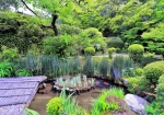 4/23 季節の草花で彩られた小さな池に錦鯉が優雅に泳いでいました・・・!!!