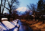 桂川から見える忍野富士（４月は桜が満開に・・・。）