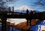 忍野富士を望みながら、雪の残る桂川を渡って忍野八海へ・・・。