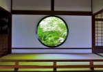 5/10 四季を切り取った❛悟りの窓❜から緑の光が映り込んでいました・・・!!!
