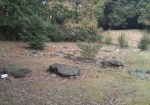 原山支石墓群1