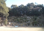 旧円融寺庭園1