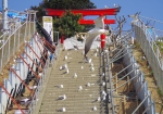 2018年、再建中の蕪嶋神社