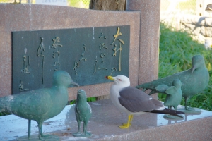 ウミネコの銅像の中に本物一羽。