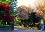 平塚総合公園