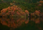 ダム湖に写り込む紅葉