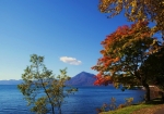 支笏湖と空の青さ、恵庭岳の絶景と紅く紅葉したハウチワカエデ（１０月）