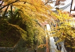 秋の永観堂