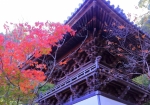 11/14 屋根裏が袴腰の立派な〔鐘楼〕と、綺麗に色づいた“紅葉”と、・・・!!!
