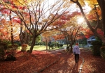 紅葉する千秋公園を歩く　© 秋田市