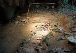 人骨とともに発見された約2500年前の石棺墓