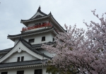 唐津城と桜 2