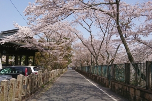 三井寺山門横の道路