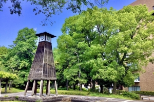 清澄公園の中です