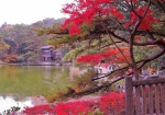 11/24 少し色褪せた“紅葉”の樹々...と、秋を楽しむ人達の姿を・・・!!!