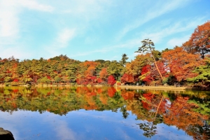 金賞は秋の六甲山 再度公園 修法ヶ原池の色鮮やかな紅葉 第43回口コミ付観光写真コンテスト結果発表 たびかん 観光スポット検索